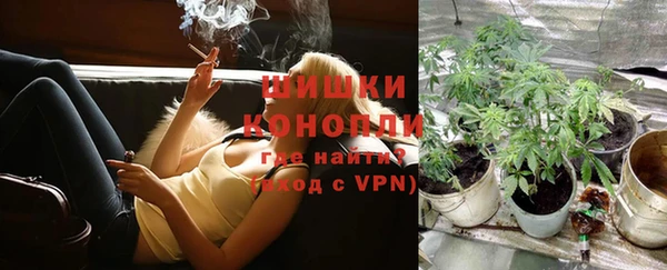 спайс Алзамай